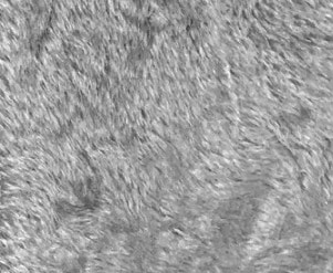 C-20�����졼