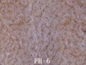 FH-6�������ѥ�