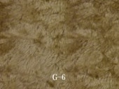 G-6�����å���