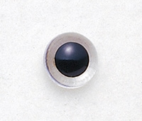 �ץ饹���å����������ꥢ��