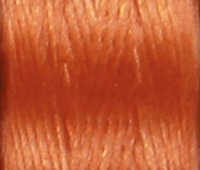 �ʥ���������˥�塡���ֹ�20 ���åѡ�