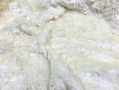 ���ֳ�LT26-01  ���꡼��ۥ磻�ȡ���������