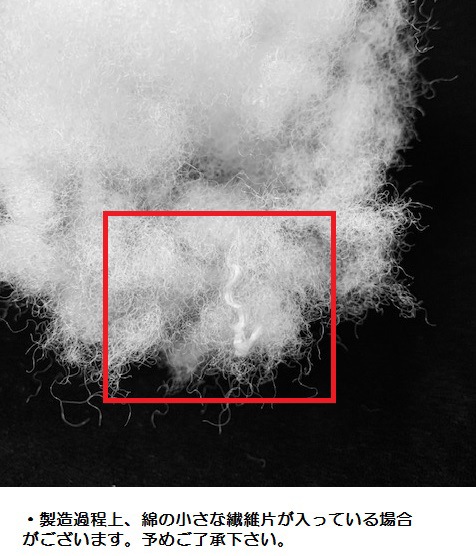 �Ĥ��ʡ�100g��