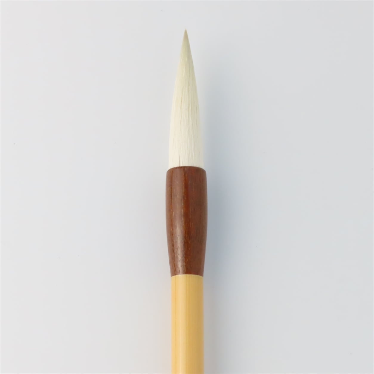 �ʾ��޹�