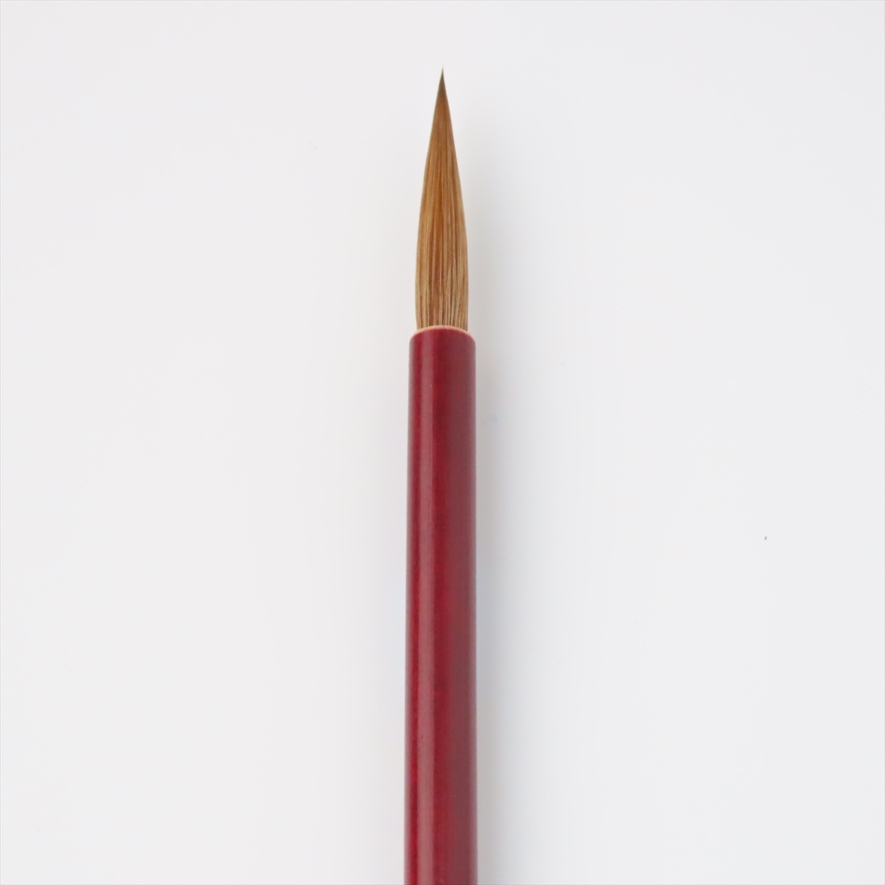 ������(��)