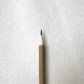 �������ס۹��մձ