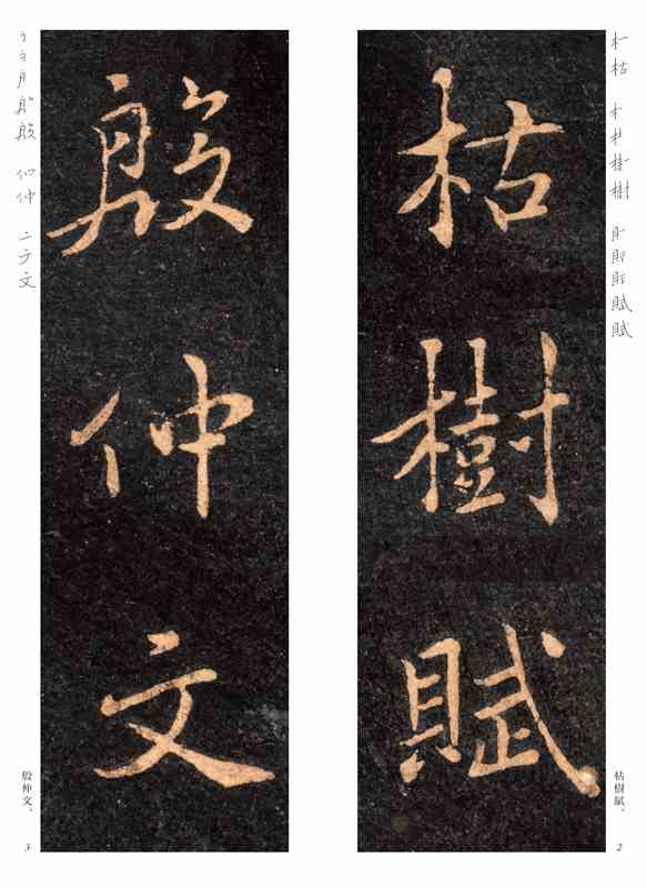 値下げ❗️枯樹賦―唐・褚遂良 (精選拡大法帖 12) 精選拡大法帖 12 枯樹賦 | 書籍,二玄社 拡大法書・他 | 三多軒