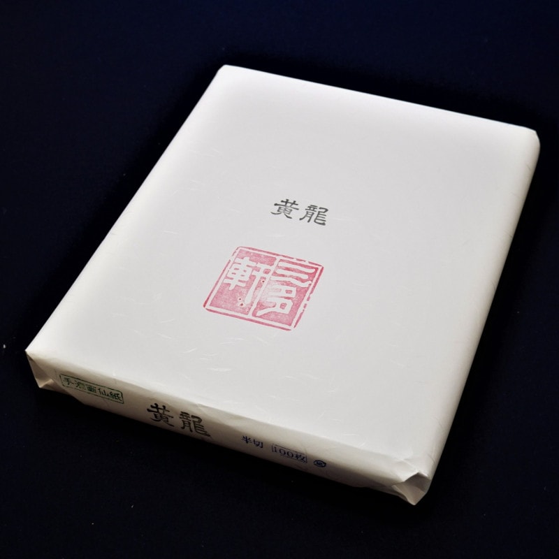 半切】 黄龍 | 紙,漢字画仙紙 | 三多軒