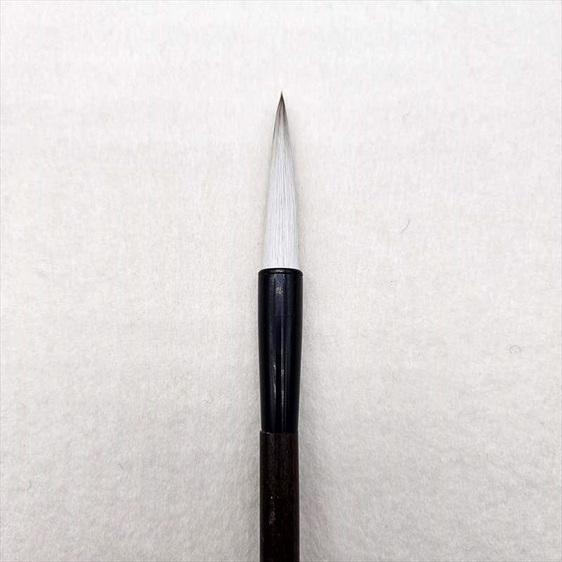 ɮ�ˡ��������ݡ������