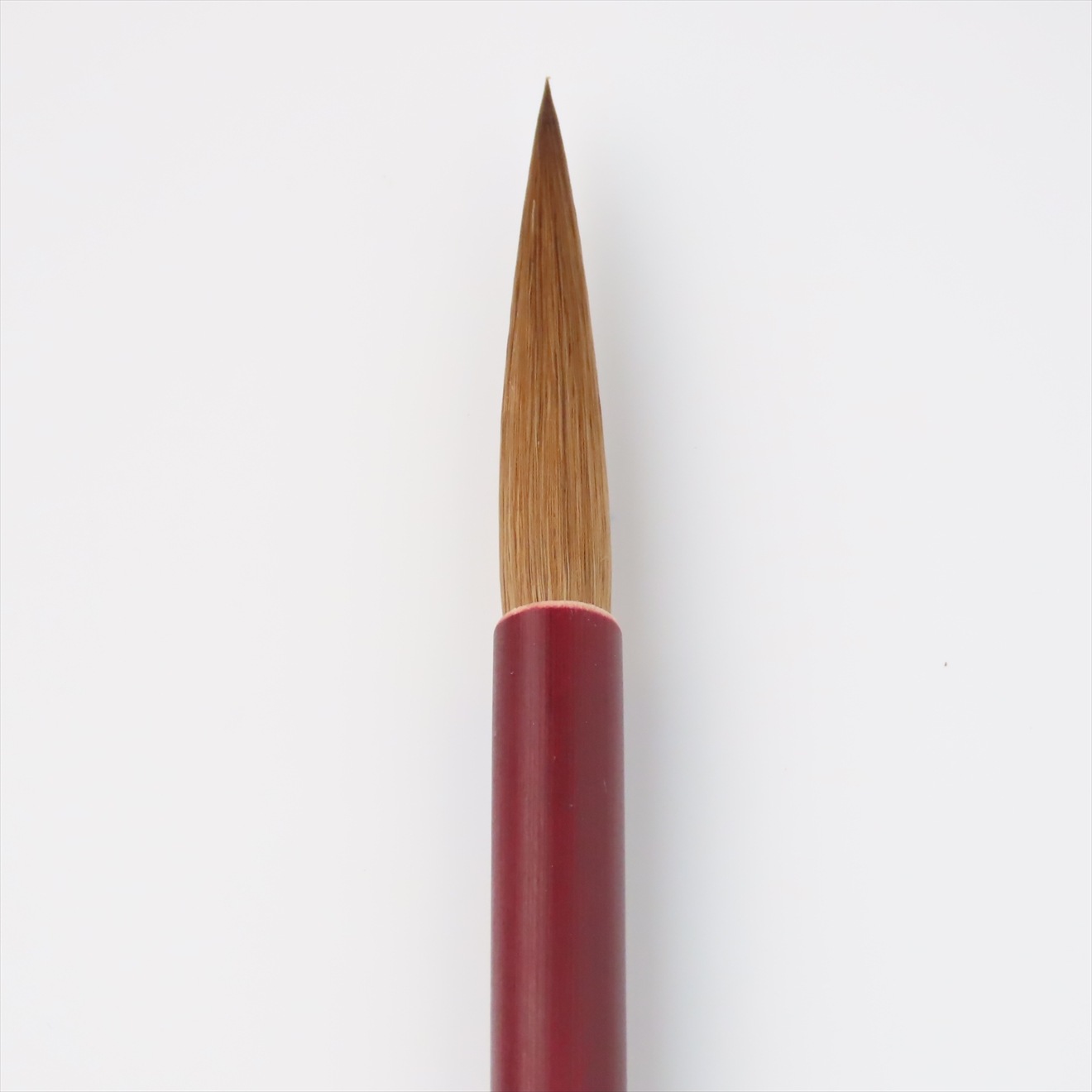 ������(��)