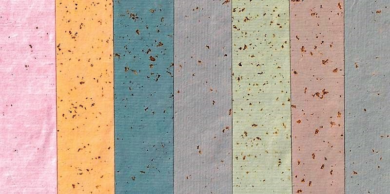 Ⱦ�ڡ� ��������롡�ԣ���������