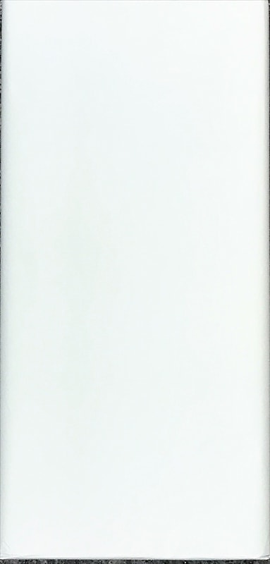 画仙紙全紙2反 画仙紙全紙2反 （書道用品専門店 「一閑堂」 画仙紙）