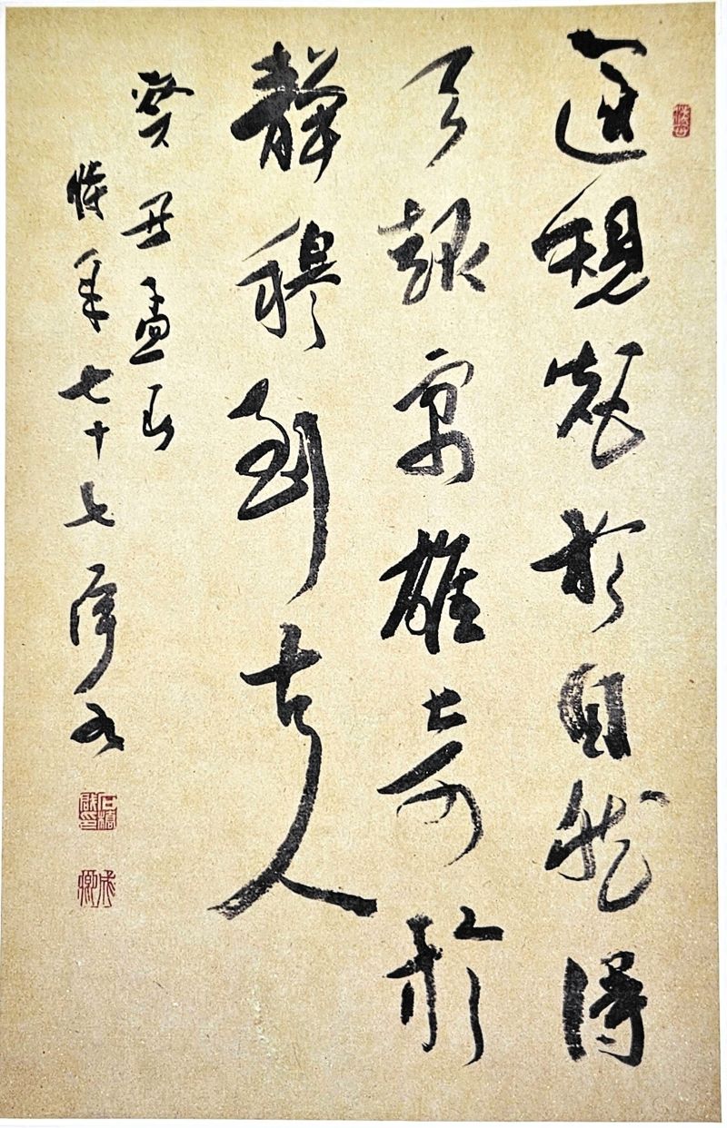 ������ж��Կ���ʽ���