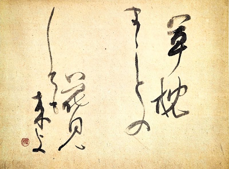 ������ж��Կ���ʽ���