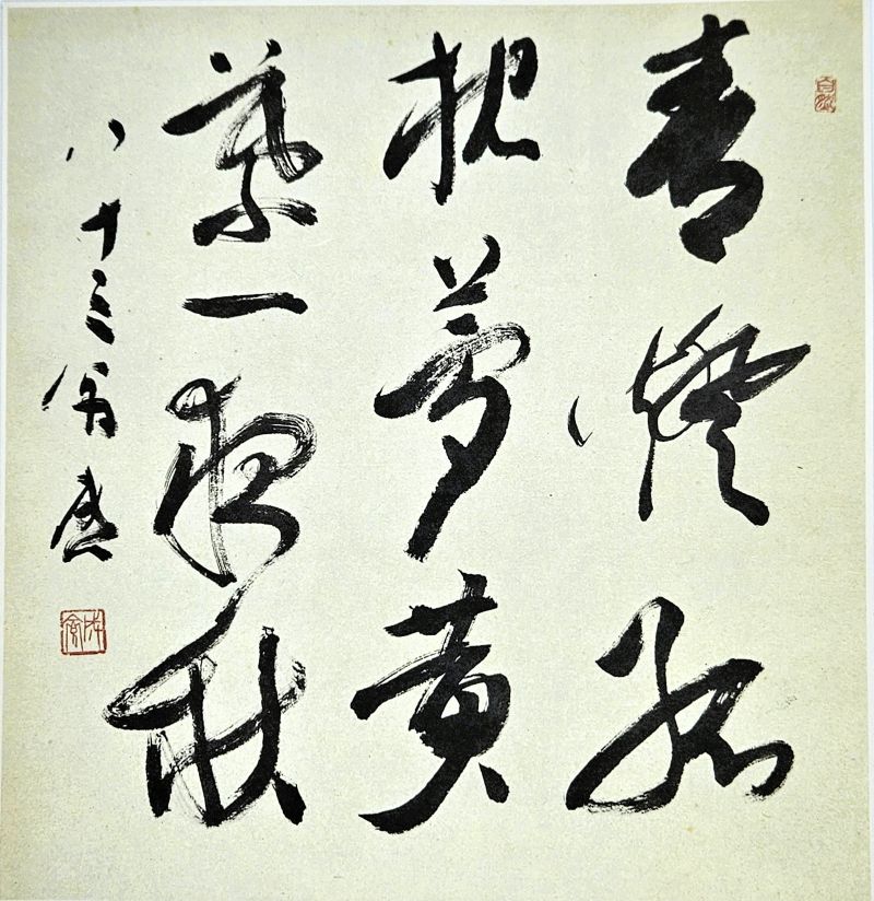 ������ж��Կ���ʽ���