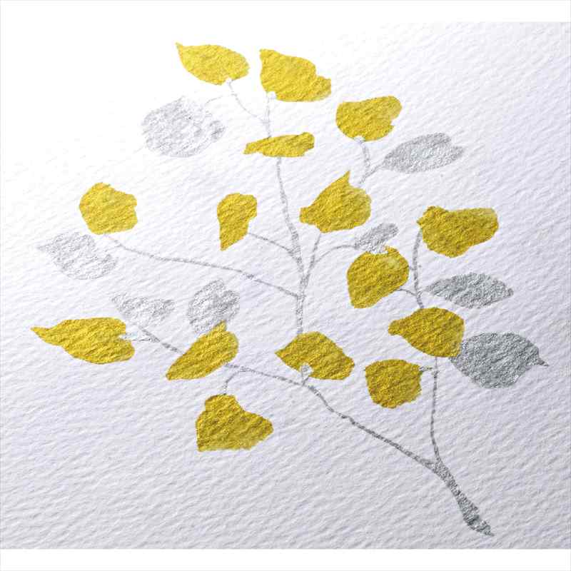 �俧��������ɮ�����֤ꡡ���