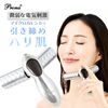 プラチナマイクロカレントローラー『Prona（プローナ）v5type』|美顔ローラー|美容・ヘアケア