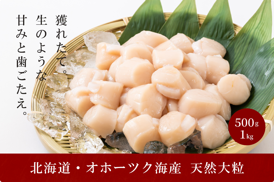 大粒！冷凍帆立貝柱 1kg