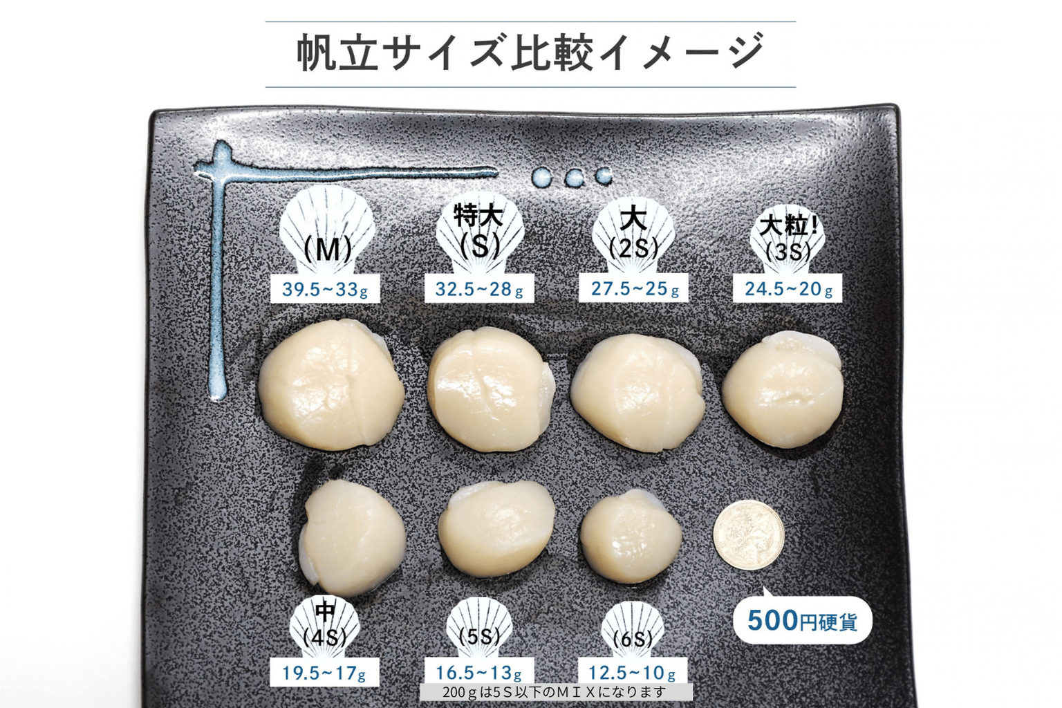 大粒！冷凍帆立貝柱 500g