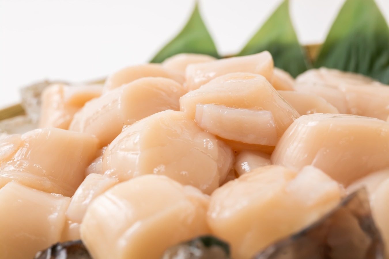 帆立貝柱200g(15粒前後)×5