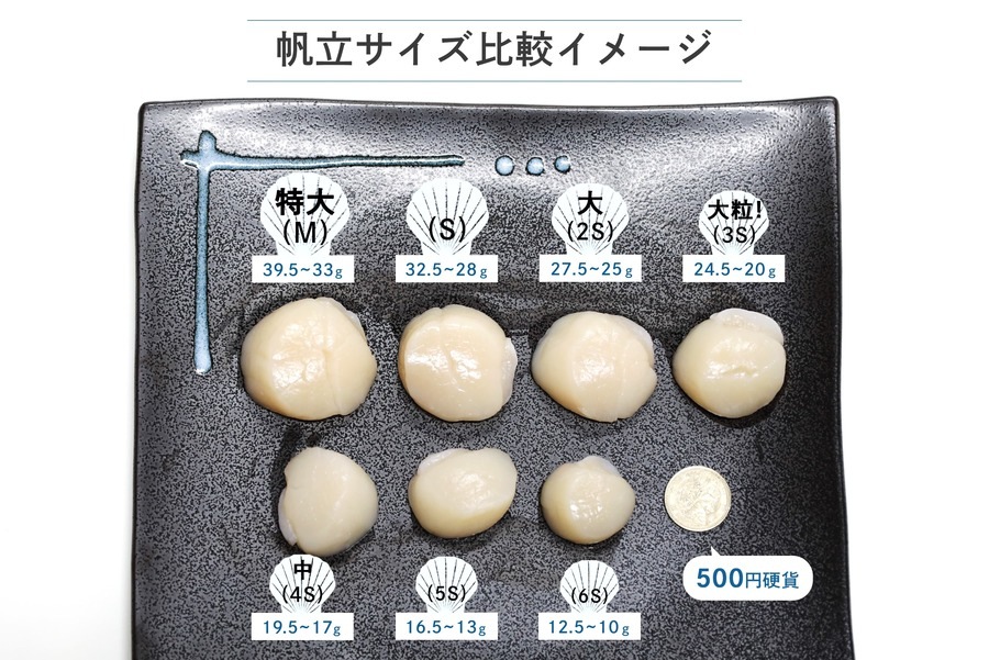 帆立貝柱　特大(500g)