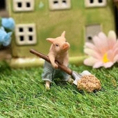 �����å׷����ڤ��� �ߥ˥��奢���˥ޥ� ������ưʪ������ ��ȥ� ����ƥ������� ���¥�ȥ� ��ʪ ���֥��� ����ƥꥢ �����ǥ˥� �ץ쥼��� ���ե� ���襤�� ��ˡ��� �ڤ��� ���� �ޥ����å� �ե����奢 �ꥢ�� ��ʪ���ä��� ���쥯����� ��ΤҤ饵���� EV14905A