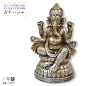 �ﵯʪ ����ɤο��� ���͡��������ʪ ���͡����� ��ʪ ���͡������� ̴��𤨤�� �Ɀ���å� ���� ���� �������� �������� �ҥ�ɥ������ο��� �ݤο��� ���ʥѥƥ� ����ŷ ��ŷ J18079