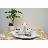 �����ɥ�ۥ�����������ɥ륹����ɡ��������꡼�������ƥ����饤�ȥ����ɥ롡�����������������󻨲� ����̵��