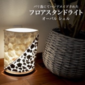 ������̵���ۥե����饤�� �ե���������� �����Х� ������ ŷ���� �ࡼ�ɥ饤�� �������� ���ܾ��� ���� ��ӥ� ���� ��������ƥ����ȡ��ϥ�ɥᥤ�� ����