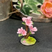 �����ڤβ��ˤ������೿ �ߥ˥��奢���˥ޥ� ������ưʪ������ ��ȥ� ����ƥ������� ��ʪ ���֥��� ����ƥꥢ �����ǥ˥� �ץ쥼��� ���ե� ���襤�� ��ˡ��� �ڤ��� ���� �ޥ����å� �ե����奢 �ꥢ�� ��ʪ���ä��� ���쥯����� ��ΤҤ饵���� EV15751A �߱�