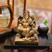 ͡ ﵯʪ ̺   ҥɥ  ֤ʪ ֥ ͡ ƥꥢ 