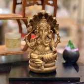 ͡ ﵯʪ ֥  ҥɥ  ֤ʪ ֥ ͡ ƥꥢ 