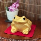 ھơⱿ   Ɀ ʡ ֥ ֤ʪ ﵯʪ ߱