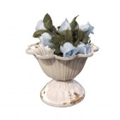 �����󥫥åץץ�󥿡� C �����ǥ˥� ����ɥ������ǥ� ����󥯥����ǥ� ����ƥ����� ����ӡ� �ʥ����� ������� �ۥ磻�� �ץ�󥿡� ���������� ���å� �ݥå� ¿����ʪ ���� �ե��١��� ��ʪ����