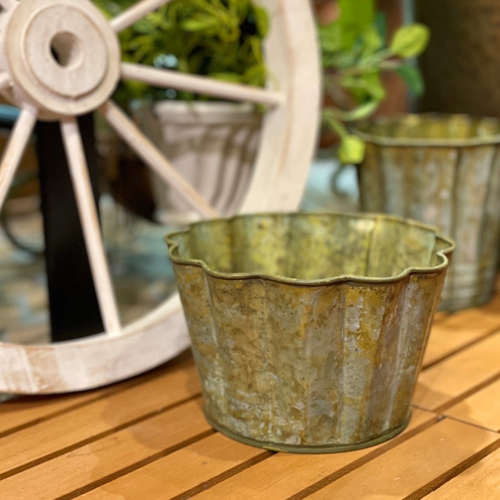 F191 Sサイズ手作リ 植木鉢検索（RLF カタチ製作所 塊根植物