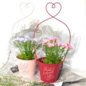 ϡ å֥ꥭݥå  ke-4704-b-wr-pk 磻å ԥ ֡ £ʪ ե ȭС ȭ ֥ꥭ