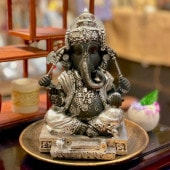 ɤο ͡ʪ ͡ ʪ ͡ ̴𤨤 Ɀå     ҥɥο ݤο ο ʥѥƥ ŷ ŷ T18180 ⤵23.5cm С  ֥å