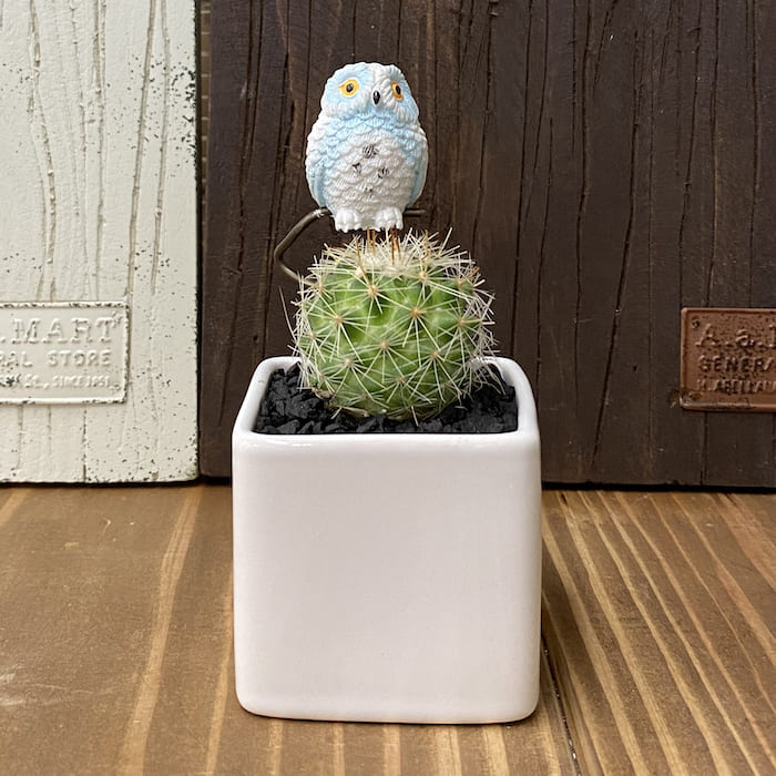 サブロウ　丸鉢　白　大サイズ　新品未使用品 サブロウ 丸鉢 白 大サイズ 新品未使用品 サブロウ 丸鉢 大