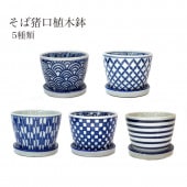 �����������ߥ˿���ȭ 5��  ��ꤢ�� lhr514 ������ �ߺ� ¿����ʪ ������ʪ �ߺ� �ݶ� ����ƥꥢ ������� ���� ����