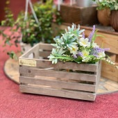 ǥܥå   ʥ Ǽܥå ƥ ǥ˥   82352