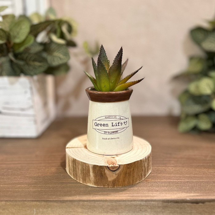 フェイクプラント フェイクグリーン 多肉植物 82142 観葉植物