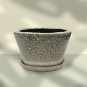 ����ꥪ�����Х�ݥå� ���졼 1720 �ץ�󥿡� ȭ ��ꤢ�� �ꤢ�� ������� ������ơ��� �����ǥ˥� ���졼 ��Υȡ��� ����ץ� �ʱ� �󤻿���