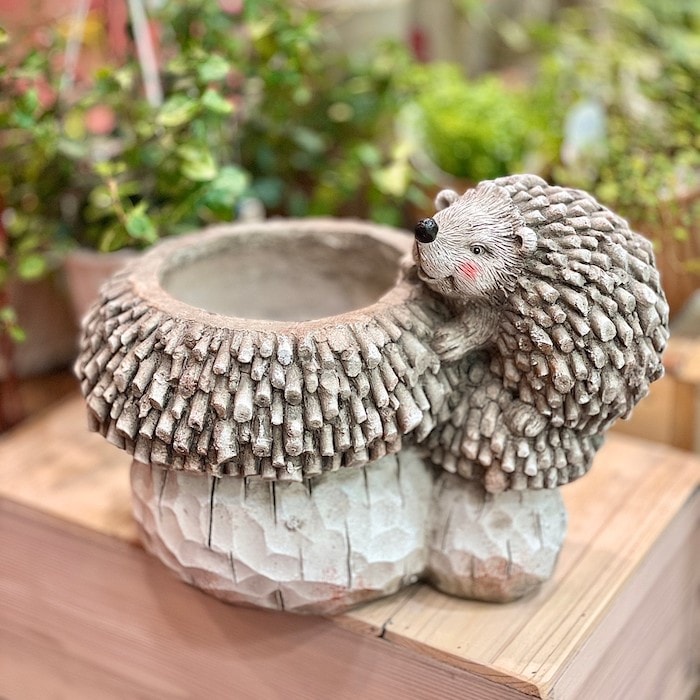 ハリネズミとキノコのプランター ca-2037 かわいい インテリア