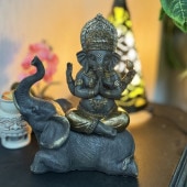 ͡ ضȸ   ҥɥο ݤο ʥѥƥ ŷ ŷ   ֥ ʪ 󻨲 AS24002