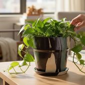 Хץĥݥå ꡼⥫ 5 81083  ʪ ʪ ȭ ȭ ץ󥿡 ץĥݥå ޡ֥ ꥵǺ   ľ16.5cm