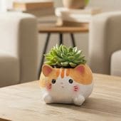 ���˥ޥ�ݥå� ǭ �ͤ� �ͥ� �ե��ݥå� ȭ ����ȭ ȭ��ꤢ�� �ɤ��֤� ���襤�� �����ǥ˥� �����ǥ� ��� 11850-785