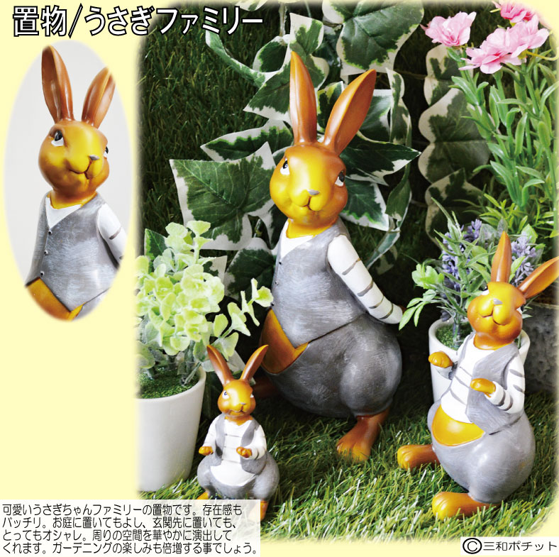 �������ե��ߥ꡼ ������ ��ӥå� ������ �����ǥ˥� ����ƥꥢ ������� ���ե� ��