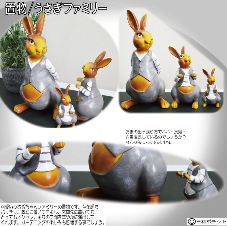 �������ե��ߥ꡼ ������ ��ӥå� ������ �����ǥ˥� ����ƥꥢ ������� ���ե� ��