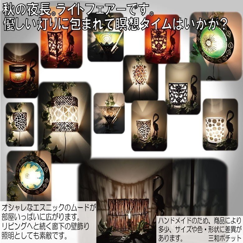 �ե����� �� �դ����� M������ C18014-18016 �ﵯʪ ʡ��Ϻ ����Ȣ ��ʪ ����ƥꥢ ������� ���ե� �� �ԥ� �� �ﵯʪ