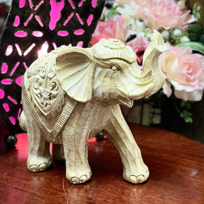 ƥåե M   ɡ夲 ƥꥢ 쥯 ơ ե HX3055